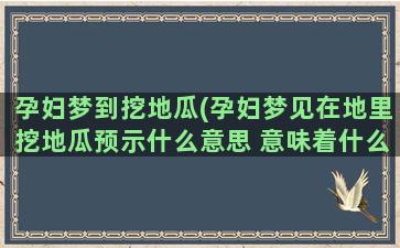 孕妇梦到挖地瓜(孕妇梦见在地里挖地瓜预示什么意思 意味着什么)